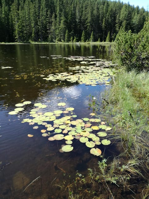 Activities, Hiking, Cycling