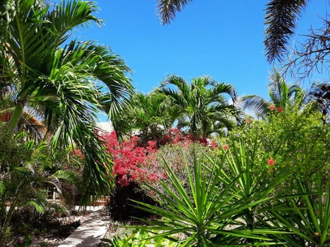 Garden view