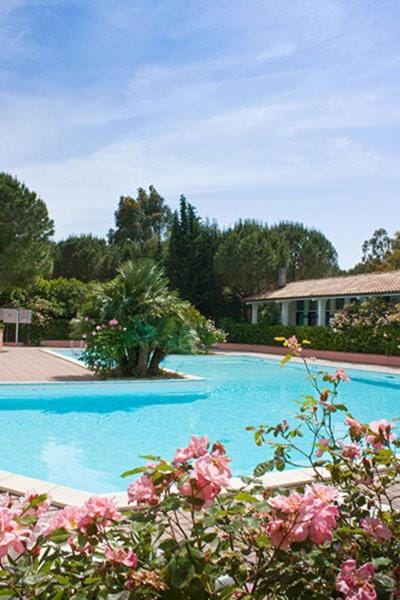 Swimming pool, Swimming pool