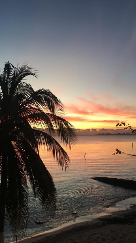 Natural landscape, Beach, Sunrise