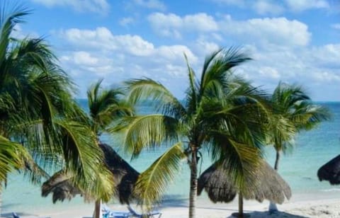 Natural landscape, Beach, Sea view