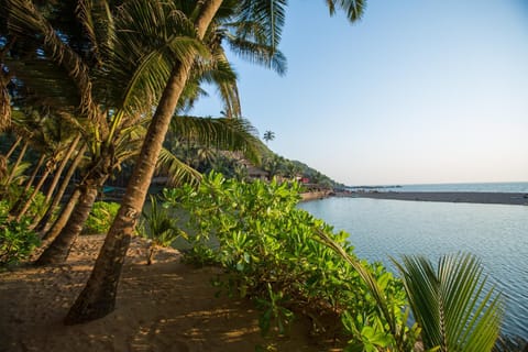 Natural landscape, River view, Sea view