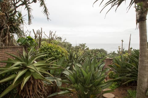 Garden, Sea view