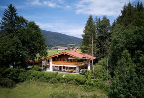 Neighbourhood, Bird's eye view, On site