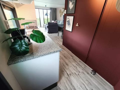 Kitchen or kitchenette, Living room, Seating area