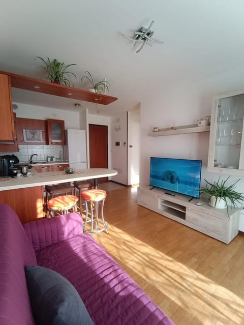 TV and multimedia, Kitchen or kitchenette, Living room, Seating area, Dining area, pet friendly