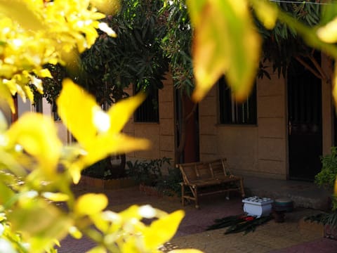 Manuhie Backpackers Lodge Hostel in Ethiopia