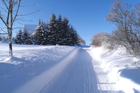 Property building, Natural landscape, Winter, Other, On site