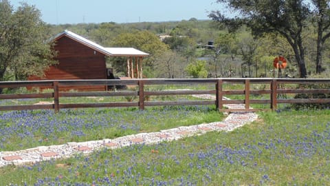 Texas T Bed and Breakfast Bed and Breakfast in Llano