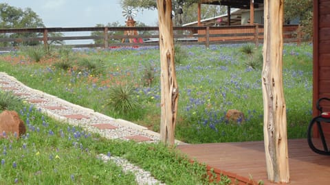 Texas T Bed and Breakfast Bed and Breakfast in Llano
