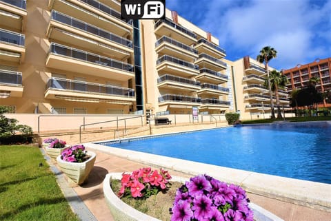 Garden, Pool view