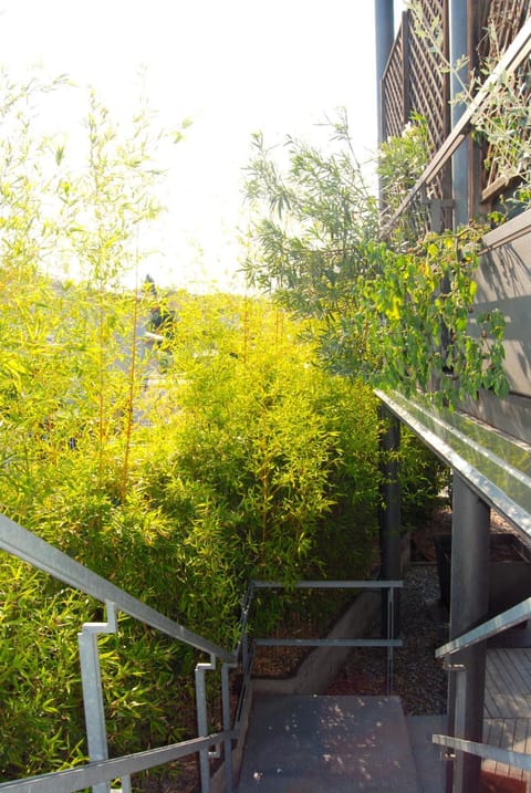 Facade/entrance, Garden view