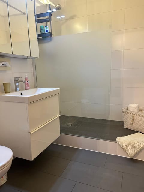 Shower, Toilet, Bathroom, towels