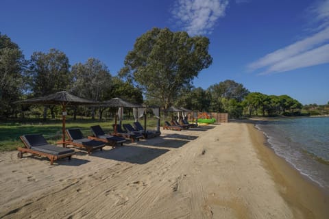 Serenity Estate House in Halkidiki