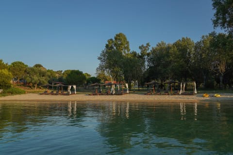 Serenity Estate House in Halkidiki