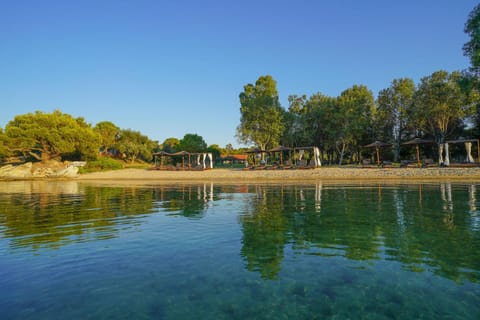 Serenity Estate House in Halkidiki