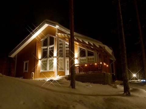 Night, Winter, On site