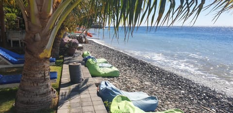 Restaurant/places to eat, Beach, Sea view