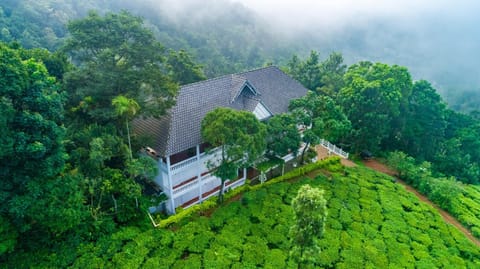 Natural landscape, Bird's eye view