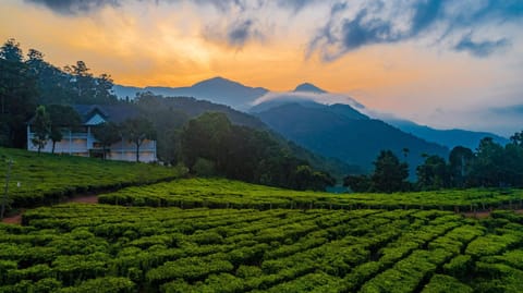 Natural landscape, Mountain view, Sunrise