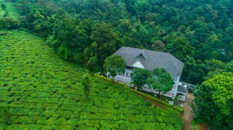 Bird's eye view, Garden view