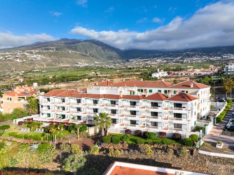 Property building, Bird's eye view