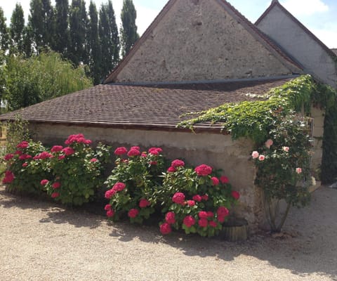 Patio, Garden