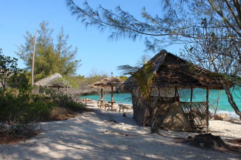 Day, Natural landscape, Beach