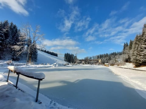 Gasthof Klug zum Ehrensepp Hotel in Carinthia, Austria