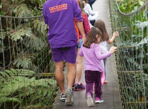 Natural landscape, children, group of guests