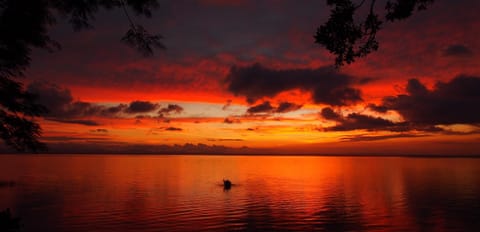 Natural landscape, Lake view, Sunset