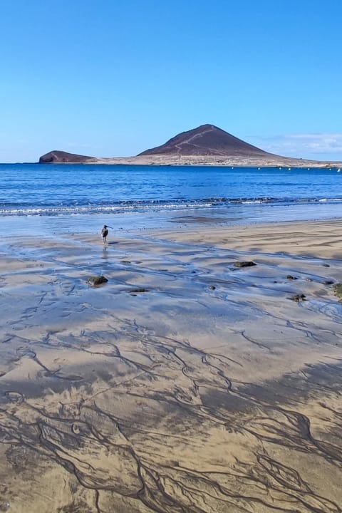 Marineda Condo in El Médano