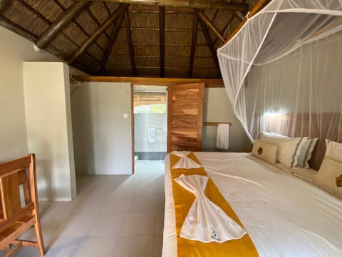 Big 5 Toro Lodge Lodge nature in Zimbabwe