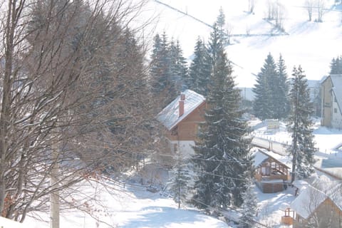 Arnica Montana Bed and Breakfast in Cluj County