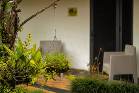 Patio, Seating area, Garden view