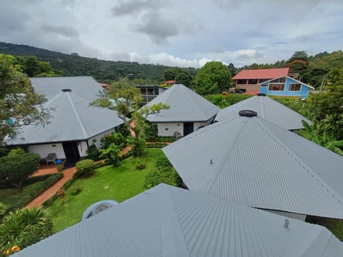 Day, Garden, Garden view