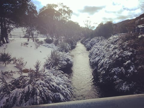 Natural landscape, Winter