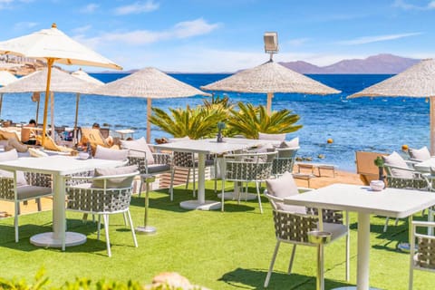 Domina Coral Bay Resort, Diving , Spa & Casino Resort in Sharm El-Sheikh