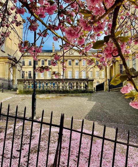 Property building, Spring, Quiet street view