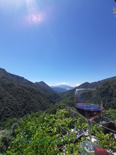 Day, Summer, View (from property/room), Mountain view