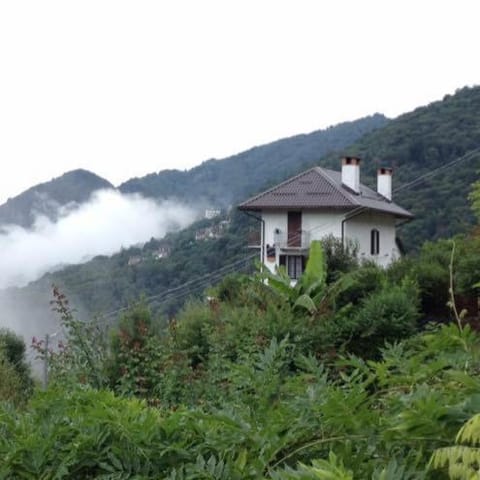 Property building, Autumn, Mountain view