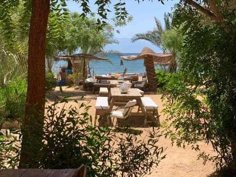 Nakhil Inn Nuweiba Auberge in South Sinai Governorate