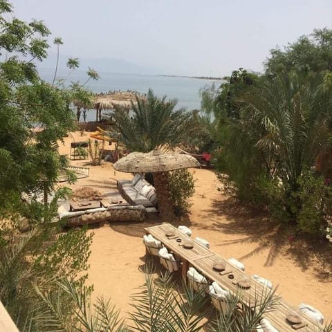 Nakhil Inn Nuweiba Auberge in South Sinai Governorate