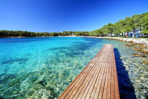 Natural landscape, Beach