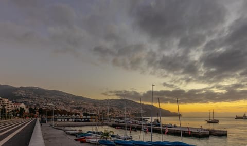 Arriaga Marina Club Apartament Apartment in Funchal