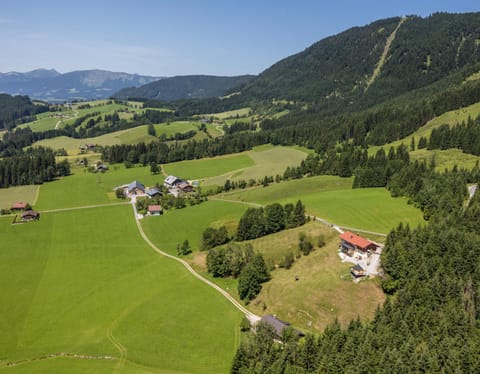 Bird's eye view, Mountain view