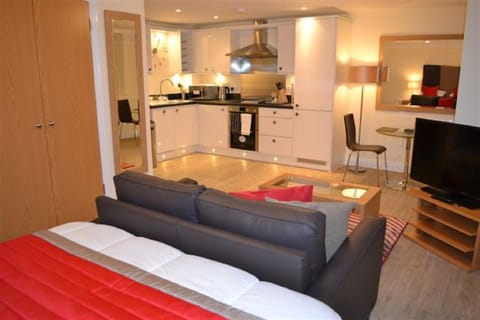 House of Fisher - Central Point Apartamento in Basingstoke