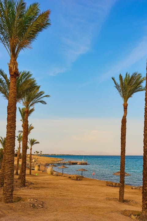 Day, Natural landscape, Photo of the whole room, Beach, Sea view