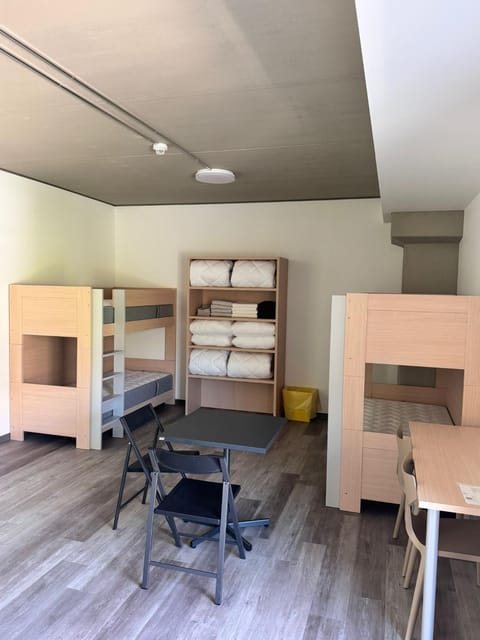 Bed, Photo of the whole room, Seating area, Bedroom, bunk bed