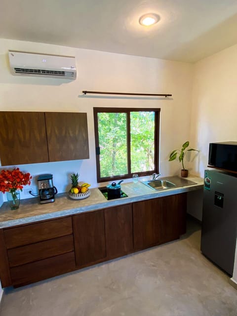 TV and multimedia, Kitchen or kitchenette, minibar, oven, stove, air conditioner